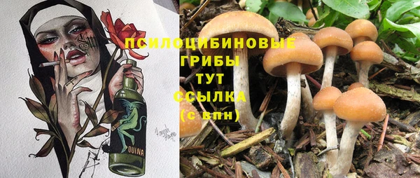 марихуана Дмитриев